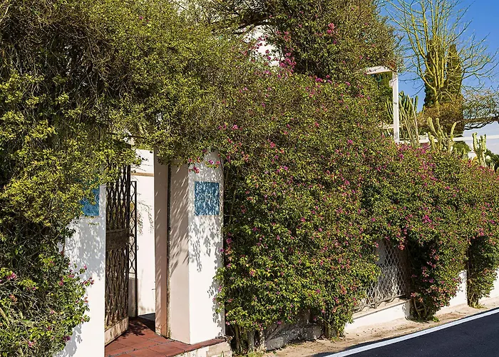 Luna Rossa, Apartmán